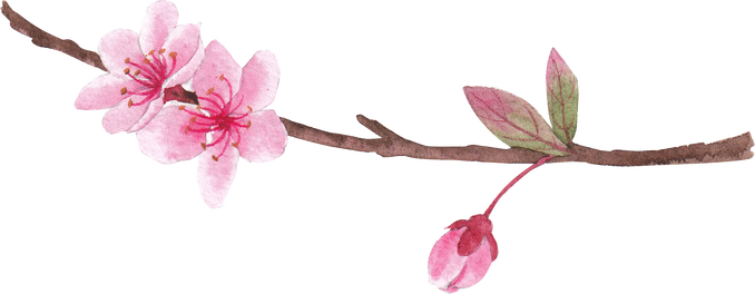 Pink Floral Flower Watercolor Element
