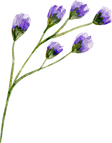 Blue violet watercolor flower branch